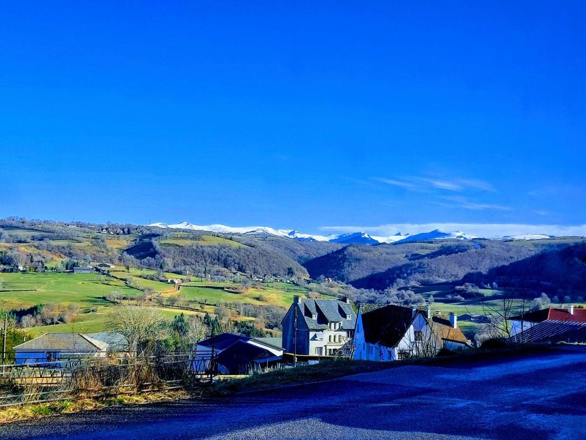 Gites Puy Mary Et Puy Griou Saint-Cernin  Εξωτερικό φωτογραφία